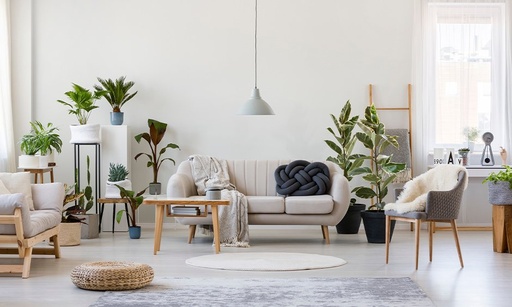 Home and Living