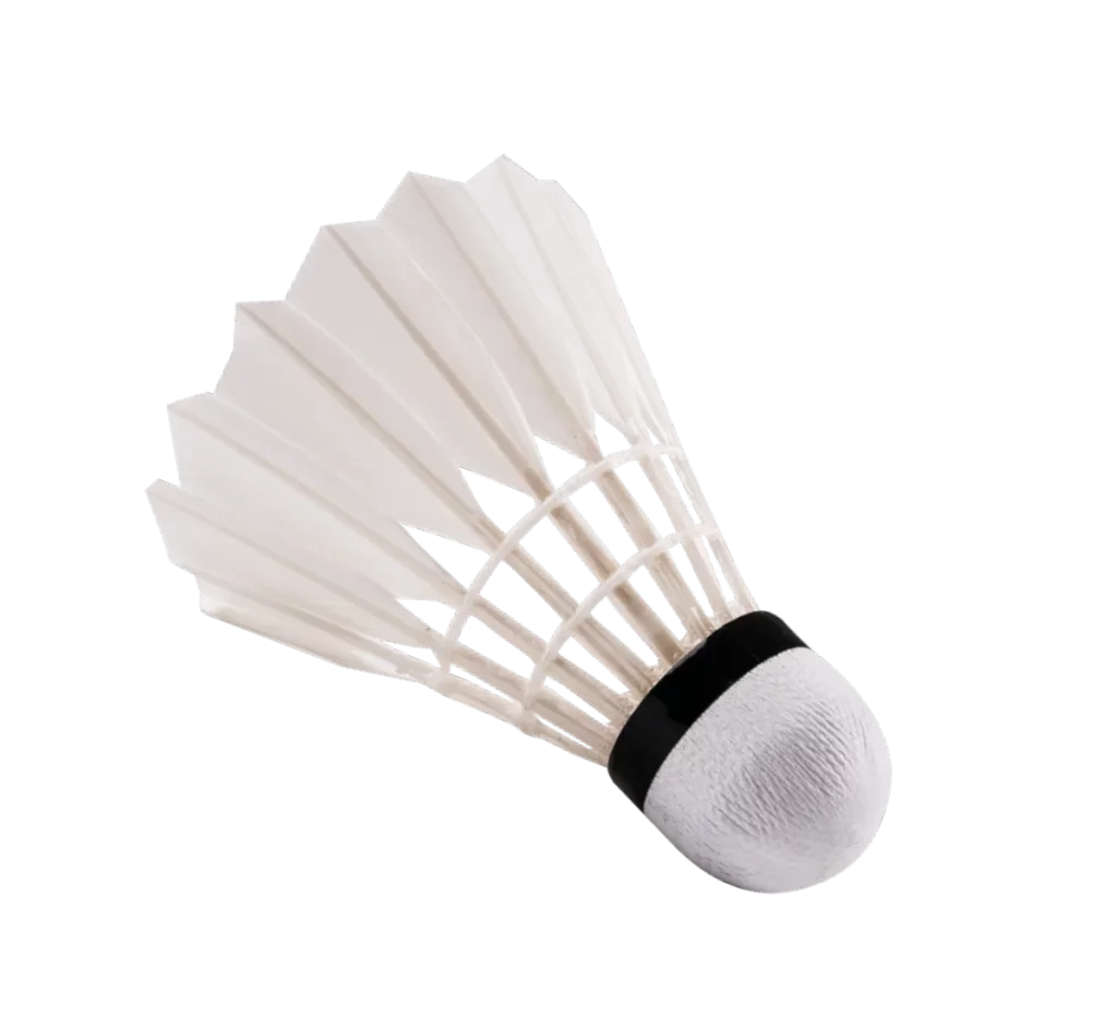 Shuttlecock